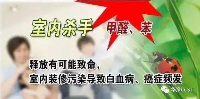 新品推薦 | 趣味寶-除醛（quán）除味黑科技